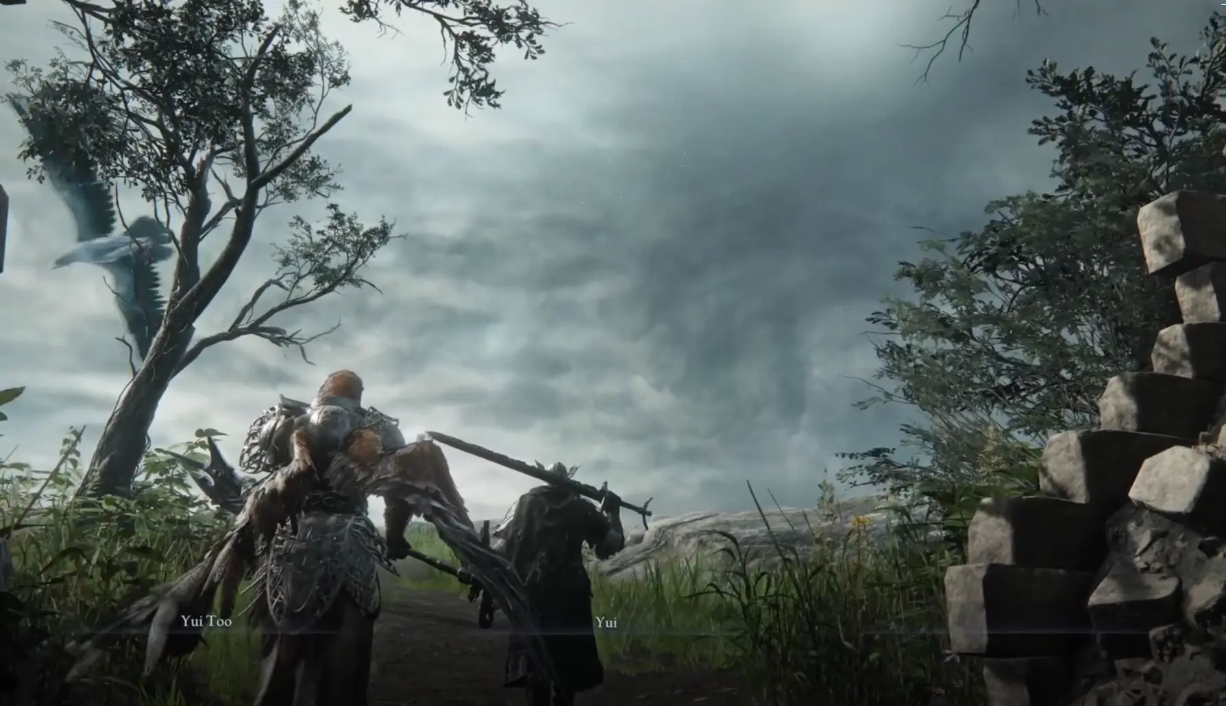 Seamless Co-op (Nightreign)